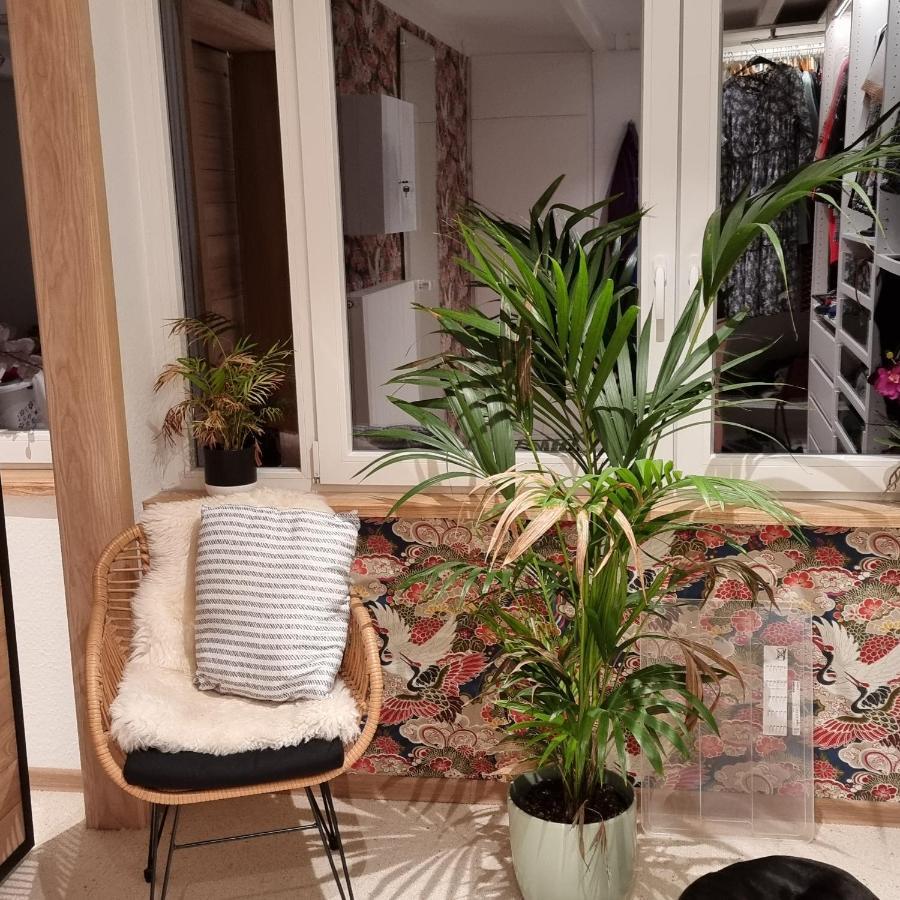 Exklusive Ferienwohnung Hattorfer Teiche ウォルフスブルク エクステリア 写真