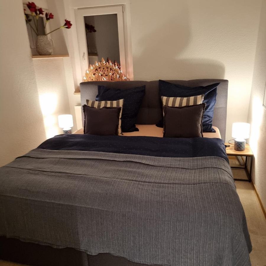 Exklusive Ferienwohnung Hattorfer Teiche ウォルフスブルク エクステリア 写真